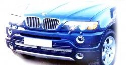 119 р. Накладка AS Concept на передний бампер BMW X5 E53 дорестайлинг (1999-2003) (Неокрашенная)  с доставкой в г. Санкт‑Петербург. Увеличить фотографию 1