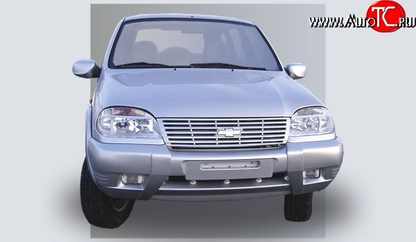 499 р. Накладки на зеркала Кураж 2 до 2005 года Chevrolet Niva 2123 дорестайлинг (2002-2008) (Неокрашенные)  с доставкой в г. Санкт‑Петербург