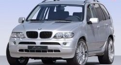 25 349 р. Пластиковый капот (рестайлинг) Stock BMW X5 E53 рестайлинг (2003-2006) (Неокрашенный)  с доставкой в г. Санкт‑Петербург. Увеличить фотографию 1