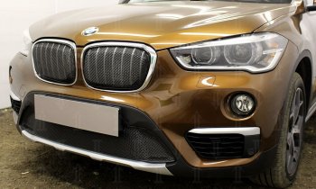 6 549 р. Защитная сетка радиатора в бампер Стрелка 11 Премиум (алюминий)  BMW X1  F48 (2015-2019) (Цвет: черный)  с доставкой в г. Санкт‑Петербург. Увеличить фотографию 1