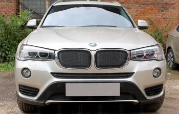 Защитная сетка радиатора в бампер Стрелка 11 Премиум (алюминий, верхняя) BMW X3 F25 рестайлинг (2014-2017)