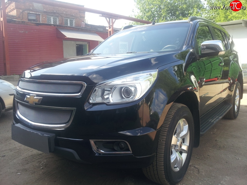 1 539 р. Нижняя сетка на бампер Russtal (хром)  Chevrolet Trailblazer  GM800 (2012-2016) дорестайлинг  с доставкой в г. Санкт‑Петербург