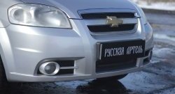 899 р. Защитная сетка решетки переднего бампера RA  Chevrolet Aveo  T250 (2006-2011)  с доставкой в г. Санкт‑Петербург. Увеличить фотографию 1