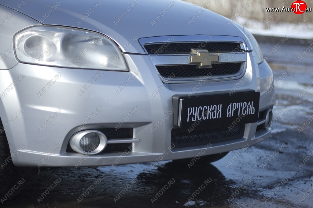 899 р. Защитная сетка решетки переднего бампера RA  Chevrolet Aveo  T250 (2006-2011)  с доставкой в г. Санкт‑Петербург