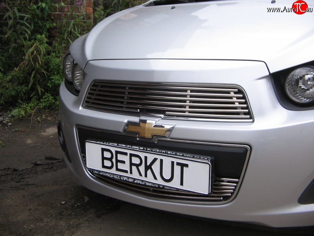 4 399 р. Декоративная вставка решетки радиатора Berkut Chevrolet Aveo T300 хэтчбек (2011-2015)  с доставкой в г. Санкт‑Петербург