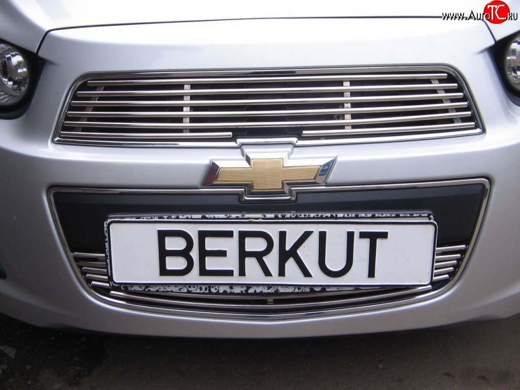 3 999 р. Декоративная вставка воздухозаборника Berkut Chevrolet Aveo T300 седан (2011-2015)  с доставкой в г. Санкт‑Петербург