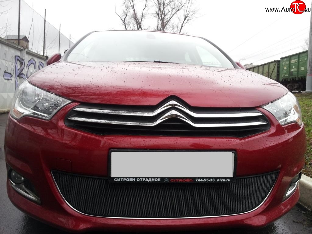 1 469 р. Сетка на бампер (хетчбек) Russtal (черная)  CITROEN C4  B7 (2011-2018) хэтчбэк 5 дв.  с доставкой в г. Санкт‑Петербург