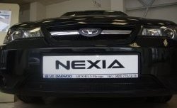 1 339 р. Сетка на бампер Russtal (черная)  Daewoo Nexia  рестайлинг (2008-2015)  с доставкой в г. Санкт‑Петербург. Увеличить фотографию 5