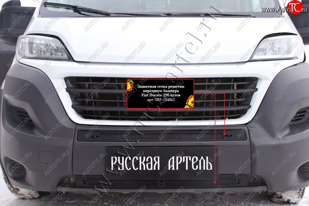 2 249 р. Защитная сетка решетки переднего бампера RA Fiat Ducato 290 (2014-2024)  с доставкой в г. Санкт‑Петербург