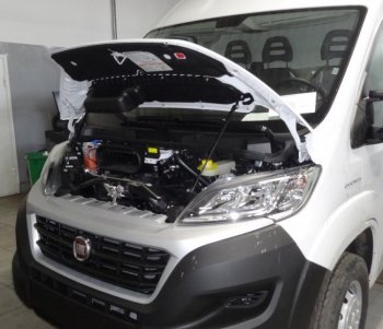 Амортизаторы капота Autofamily Fiat Ducato 290 (2014-2024)