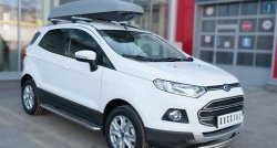 15 649 р. Защита переднего бампера (2 трубыØ63 и 42 мм, нержавейка) Russtal Ford EcoSport дорестайлинг (2013-2019)  с доставкой в г. Санкт‑Петербург. Увеличить фотографию 3