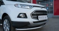 12 999 р. Одинарная защита переднего бампера диаметром 63 мм Russtal Ford EcoSport дорестайлинг (2013-2019)  с доставкой в г. Санкт‑Петербург. Увеличить фотографию 2