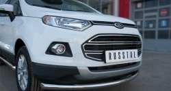 15 649 р. Одинарная защита переднего бампера диаметром 63 мм SLITKOFF Ford EcoSport дорестайлинг (2013-2019)  с доставкой в г. Санкт‑Петербург. Увеличить фотографию 3