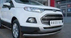 15 649 р. Защита переднего бампера (Ø75х42 мм, нержавейка) Russtal Ford EcoSport дорестайлинг (2013-2019)  с доставкой в г. Санкт‑Петербург. Увеличить фотографию 2