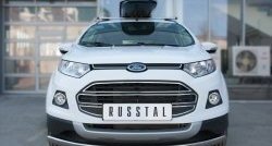 15 649 р. Защита переднего бампера (Ø75х42 мм, нержавейка) Russtal Ford EcoSport дорестайлинг (2013-2019)  с доставкой в г. Санкт‑Петербург. Увеличить фотографию 1