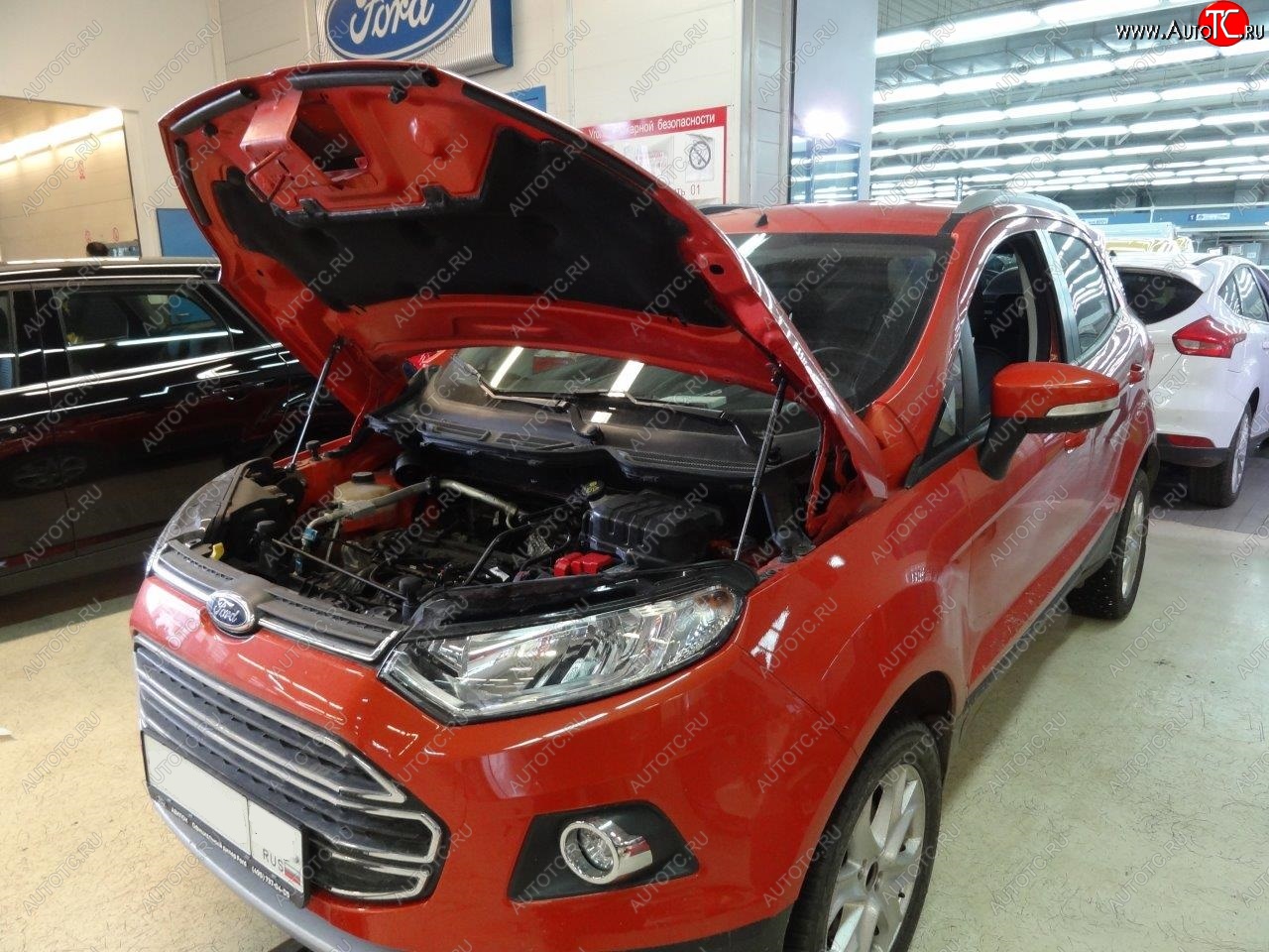 2 299 р. Упоры капота Russtal Ford EcoSport дорестайлинг (2013-2019)  с доставкой в г. Санкт‑Петербург