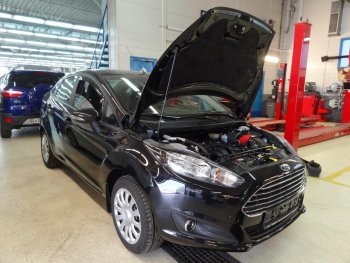 1 549 р. Упор капота Russtal Ford Fiesta 6 хэтчбэк 5 дв. дорестайлинг (2008-2012)  с доставкой в г. Санкт‑Петербург. Увеличить фотографию 1