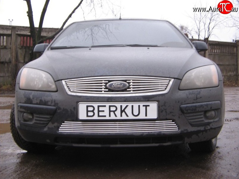 4 999 р. Декоративная вставка решетки радиатора Berkut Ford Focus 2 хэтчбэк 3 дв. дорестайлинг (2004-2007)  с доставкой в г. Санкт‑Петербург