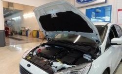 2 199 р. Газовые упоры капота Berkut Ford Focus 3 седан дорестайлинг (2011-2015)  с доставкой в г. Санкт‑Петербург. Увеличить фотографию 1