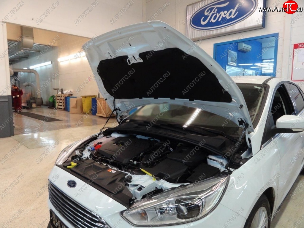 2 199 р. Газовые упоры капота Berkut Ford Focus 3 седан дорестайлинг (2011-2015)  с доставкой в г. Санкт‑Петербург