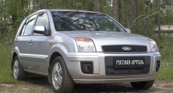 1 599 р. Защитная сетка решетки переднего бампера РА  Ford Fusion  1 (2005-2012)  с доставкой в г. Санкт‑Петербург. Увеличить фотографию 2