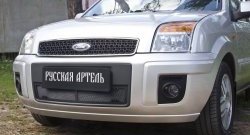 1 599 р. Защитная сетка решетки переднего бампера РА  Ford Fusion  1 (2005-2012)  с доставкой в г. Санкт‑Петербург. Увеличить фотографию 3