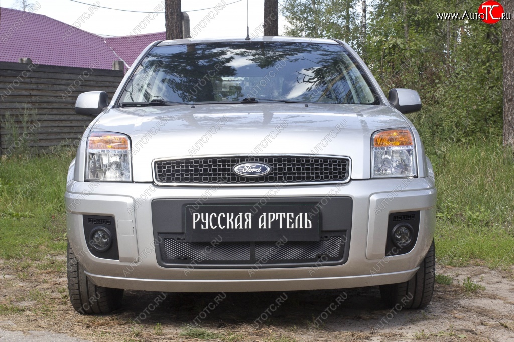 1 599 р. Защитная сетка решетки переднего бампера РА  Ford Fusion  1 (2005-2012)  с доставкой в г. Санкт‑Петербург