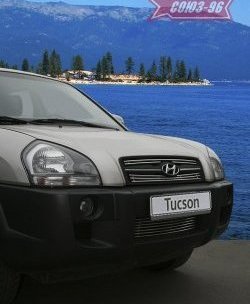 Декоративные элементы решетки радиатора Souz-96 (d10) Hyundai Tucson JM (2004-2010)