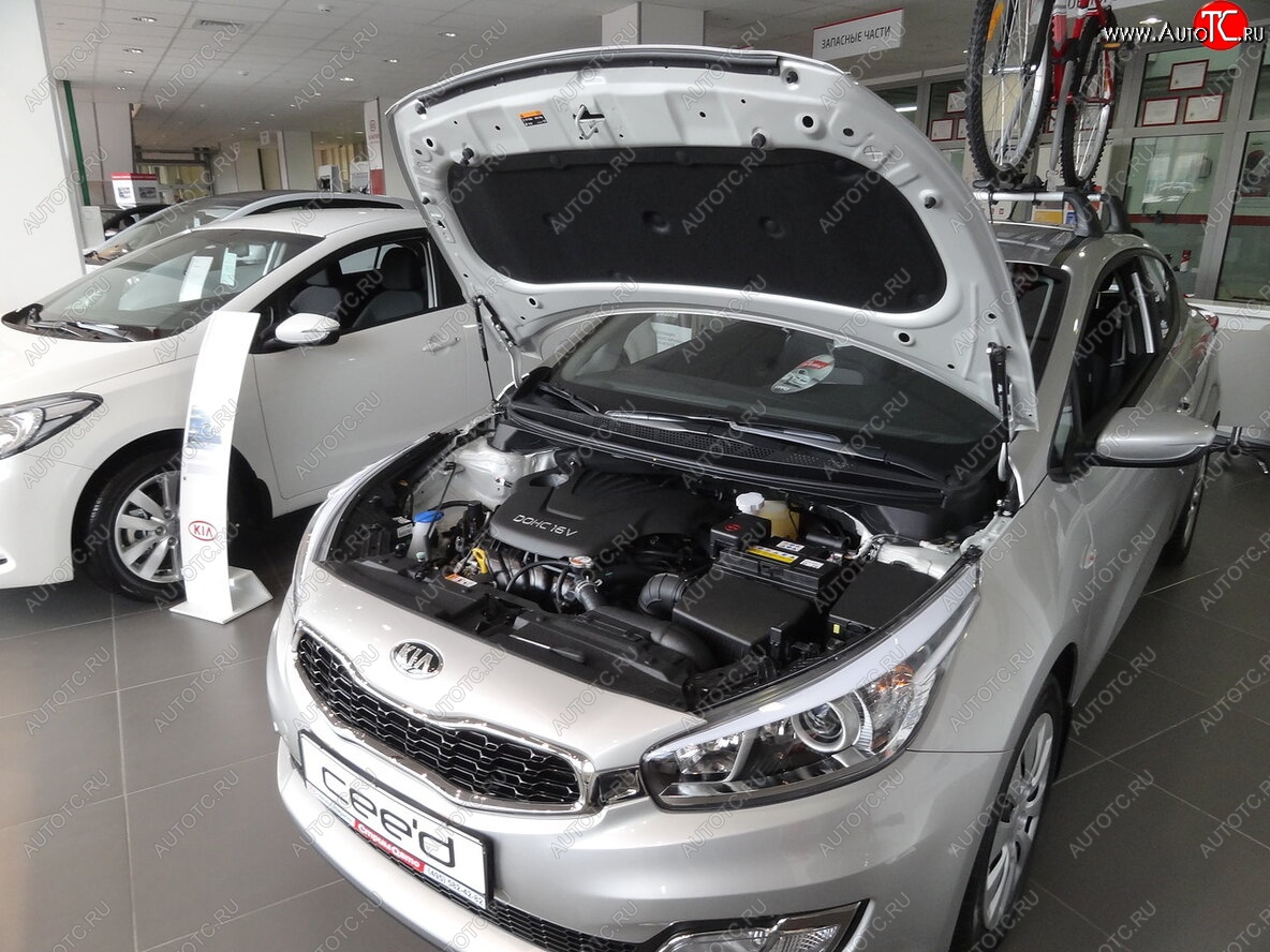 2 049 р. Упоры капота Russtal KIA Ceed 2 JD дорестайлинг, хэтчбэк (2012-2015)  с доставкой в г. Санкт‑Петербург