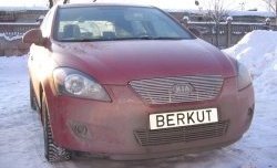 4 799 р. Декоративная вставка решетки радиатора Berkut KIA Ceed 1 ED дорестайлинг универсал (2006-2009)  с доставкой в г. Санкт‑Петербург. Увеличить фотографию 1