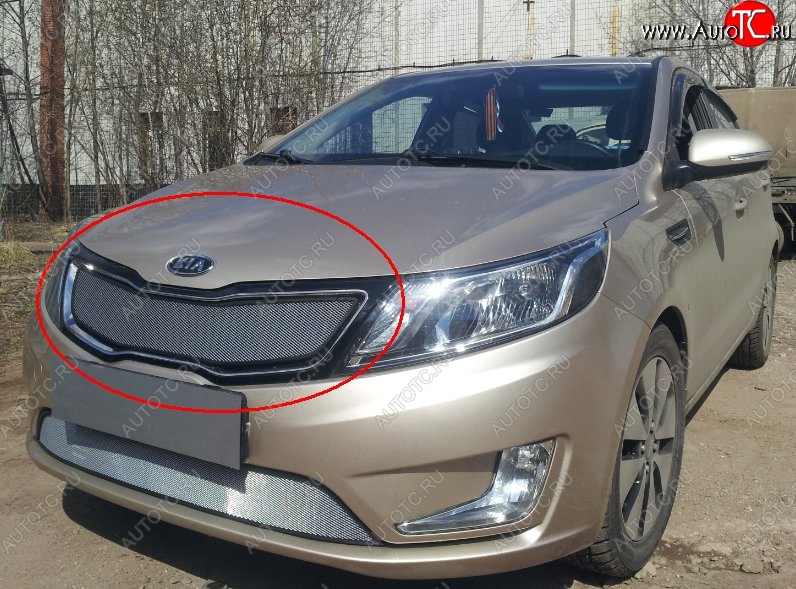 1 599 р. Сетка в решетку радиатора (к-я Premium) Russtal  KIA Rio  3 QB (2011-2015) дорестайлинг седан, дорестайлингхэтчбек5дв. (хром)  с доставкой в г. Санкт‑Петербург