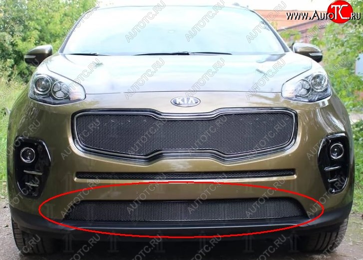 1 469 р. Нижняя защитная сетка на бампер Russtal (черная)  KIA Sportage  4 QL (2016-2018)  с доставкой в г. Санкт‑Петербург