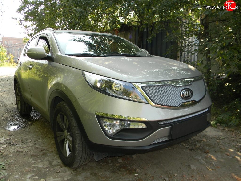 1 539 р. Сетка в решетку радиатора Russtal  KIA Sportage  3 SL (2010-2014) дорестайлинг (хром)  с доставкой в г. Санкт‑Петербург