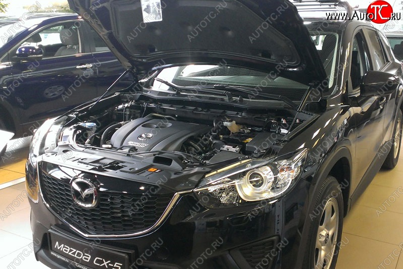 2 199 р. Газовые упоры капота Berkut Mazda CX-5 KE рестайлинг (2015-2017)  с доставкой в г. Санкт‑Петербург