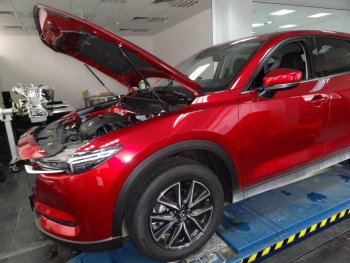 Упоры капота Russtal Mazda CX-5 KF (2016-2025)