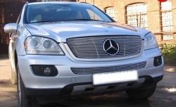 9 399 р. Декоративная вставка решетки радиатора Berkut  Mercedes-Benz ML class  W164 (2005-2008) дорестайлинг  с доставкой в г. Санкт‑Петербург. Увеличить фотографию 1