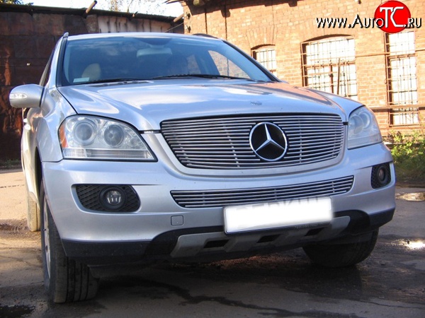 9 399 р. Декоративная вставка решетки радиатора Berkut  Mercedes-Benz ML class  W164 (2005-2008) дорестайлинг  с доставкой в г. Санкт‑Петербург