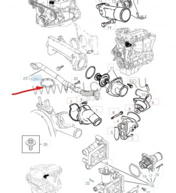 Уплотнительное кольцо маслопровода GM (дв. Z16XEP, к корпусу масляного фильтра) Opel Astra H хэтчбек 5дв рестайлинг (2007-2015)