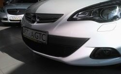 1 469 р. Сетка на бампер GTC Russtal (черная) Opel Astra J хэтчбек 5 дв. дорестайлинг (2009-2012)  с доставкой в г. Санкт‑Петербург. Увеличить фотографию 3