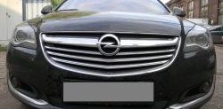1 469 р. Сетка на бампер (рестайлинг) Russtal (черная)  Opel Insignia  A (2008-2017)  с доставкой в г. Санкт‑Петербург. Увеличить фотографию 1