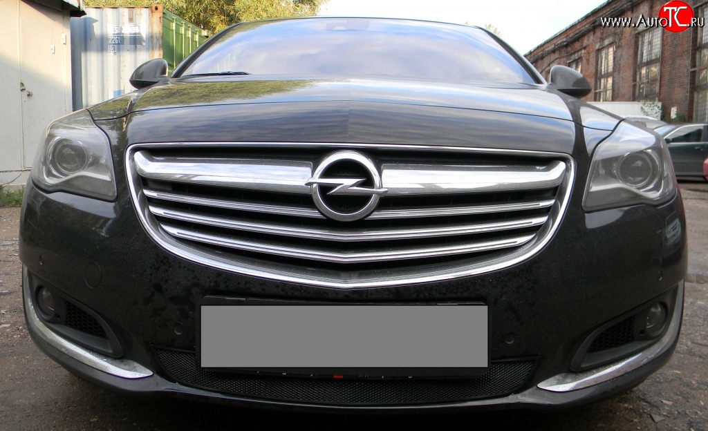 1 469 р. Сетка на бампер (рестайлинг) Russtal (черная)  Opel Insignia  A (2008-2017)  с доставкой в г. Санкт‑Петербург