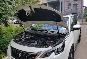 2 799 р. Упоры капота Russtal Peugeot 3008 2 (2016-2024)  с доставкой в г. Санкт‑Петербург. Увеличить фотографию 1