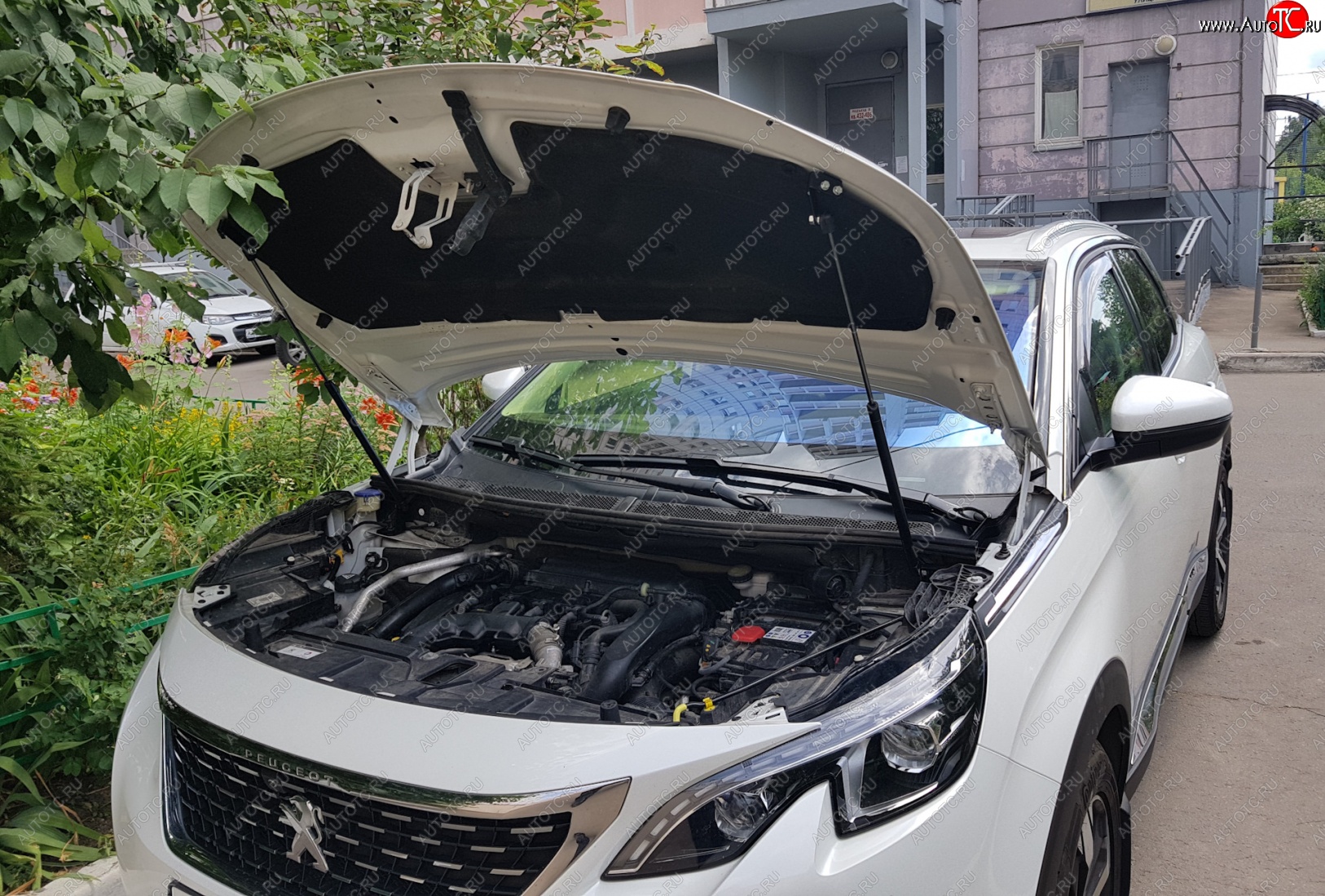 2 799 р. Упоры капота Russtal Peugeot 3008 2 (2016-2024)  с доставкой в г. Санкт‑Петербург