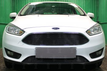 2 769 р. Защитная сетка в бампер (низ, ячейка 3х7 мм) Alfeco Стандарт  Ford Focus  3 (2014-2019) седан рестайлинг, универсал рестайлинг, хэтчбэк рестайлинг (Чёрная)  с доставкой в г. Санкт‑Петербург. Увеличить фотографию 1