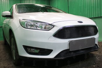 2 769 р. Защитная сетка в бампер (низ, ячейка 3х7 мм) Alfeco Стандарт  Ford Focus  3 (2014-2019) седан рестайлинг, универсал рестайлинг, хэтчбэк рестайлинг (Чёрная)  с доставкой в г. Санкт‑Петербург. Увеличить фотографию 2