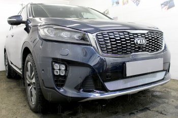 3 199 р. Защитная сетка в бампер (низ, ячейка 3х7 мм) Alfeco Стандарт  KIA Sorento  UM/Prime (2018-2020) (Хром)  с доставкой в г. Санкт‑Петербург. Увеличить фотографию 4