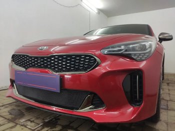 3 199 р. Защитная сетка в бампер (низ, ячейка 3х7 мм) Alfeco Стандарт KIA Stinger (2017-2024) (Чёрная)  с доставкой в г. Санкт‑Петербург. Увеличить фотографию 4