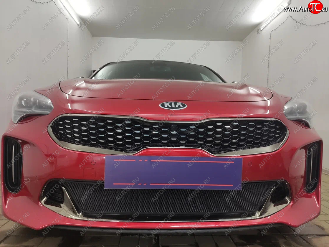 3 199 р. Защитная сетка в бампер (низ, ячейка 3х7 мм) Alfeco Стандарт KIA Stinger (2017-2024) (Чёрная)  с доставкой в г. Санкт‑Петербург