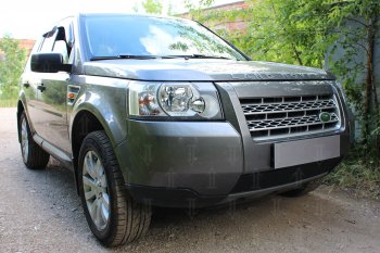 3 199 р. Защитная сетка в бампер (низ, ячейка 3х7 мм) Alfeco Стандарт Land Rover Freelander L359 дорестайлинг (2006-2010) (Чёрная)  с доставкой в г. Санкт‑Петербург. Увеличить фотографию 2