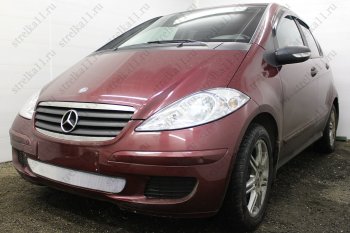 3 199 р. Защитная сетка в бампер (низ, ячейка 3х7 мм) Alfeco Стандарт Mercedes-Benz A class W169 дорестайлинг, хэтчбэк 5 дв. (2005-2008) (Хром)  с доставкой в г. Санкт‑Петербург. Увеличить фотографию 3